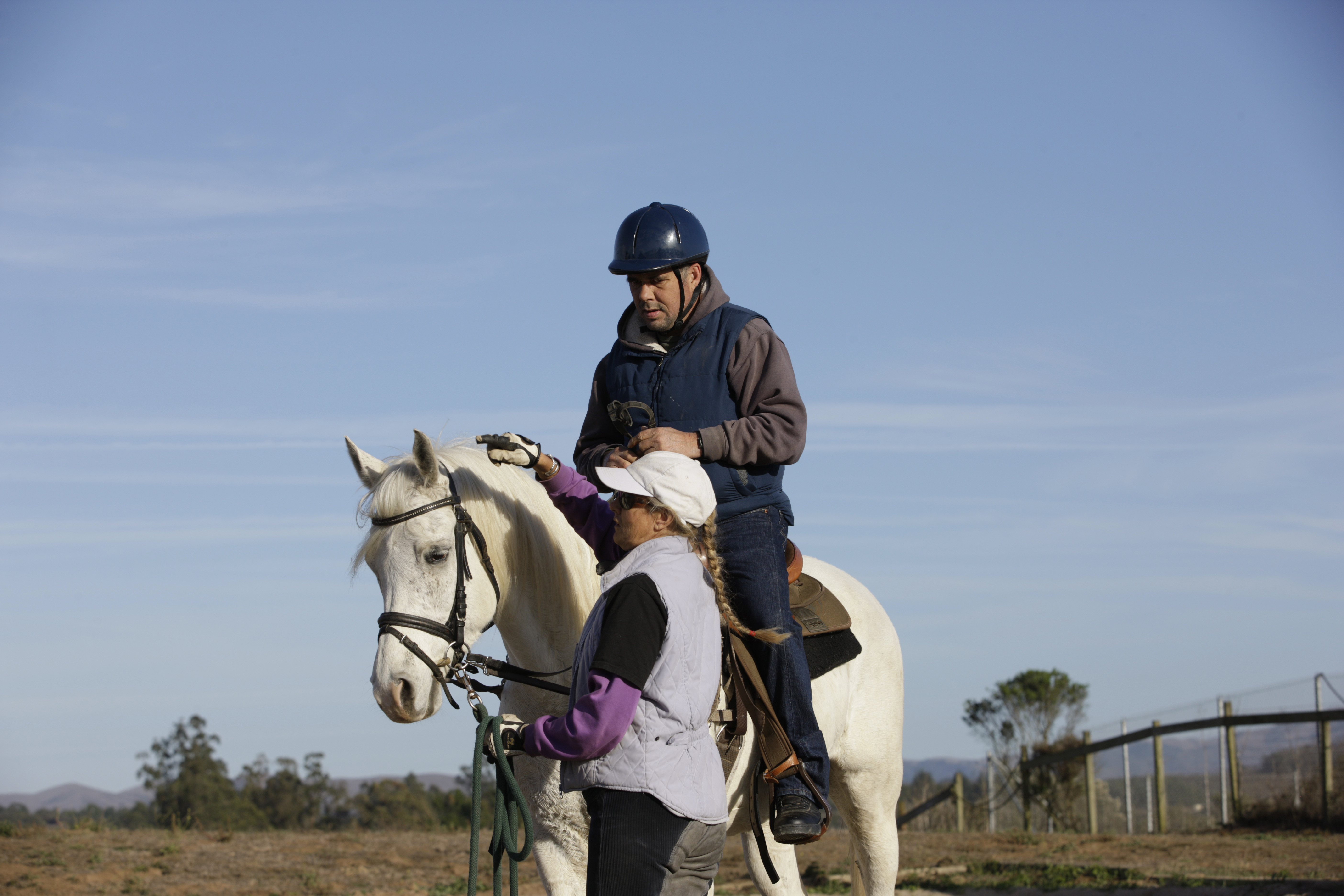Equine therapy partners