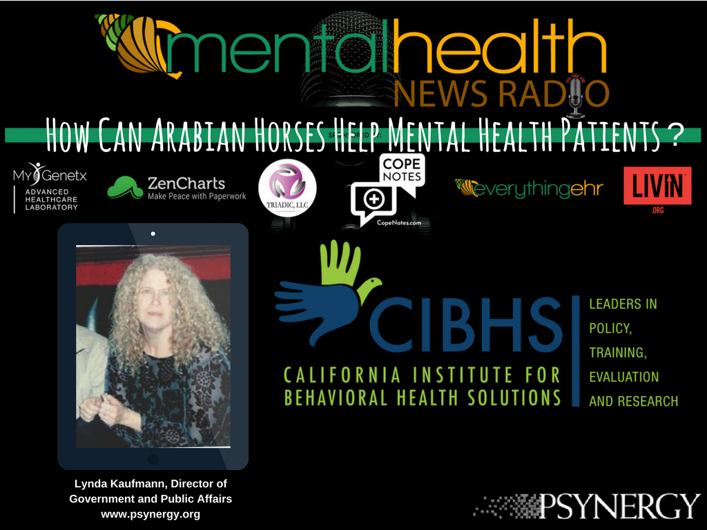 Lynda Kaufmann interviewed on Mental Health News Radio