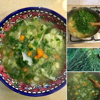 Fresh herbs and vegetable soups!